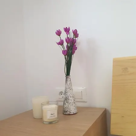 Bougainvillea Cozy *